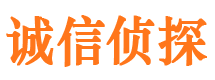 雅江市私家侦探